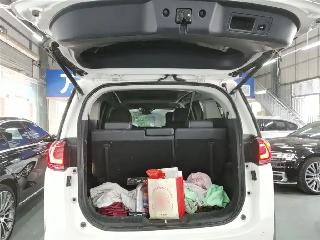 GAC Trumpchi Trumpchi M8 2021 Leading Show Series 390T Ultimate Edition фото 19