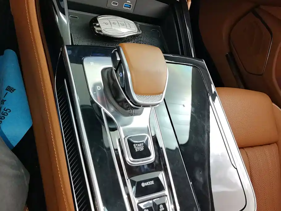 Hongqi H9 2025 2024 2.0T Qi Enjoy Private Fashion Edition