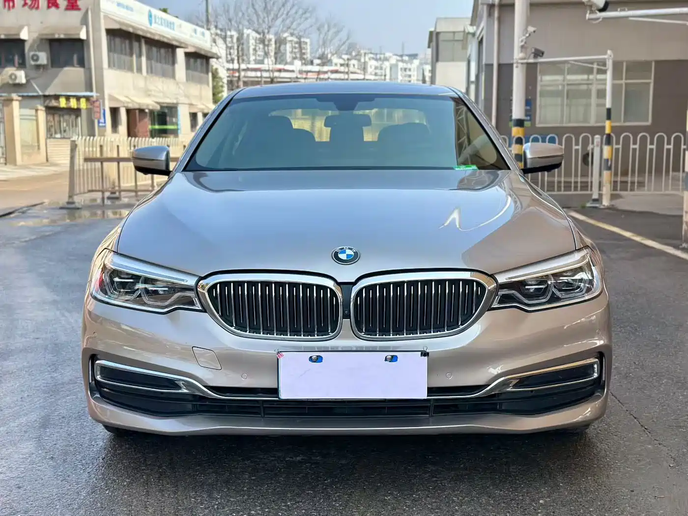BMW 5 Series 2020 530Li Leading Luxury Package фото 2