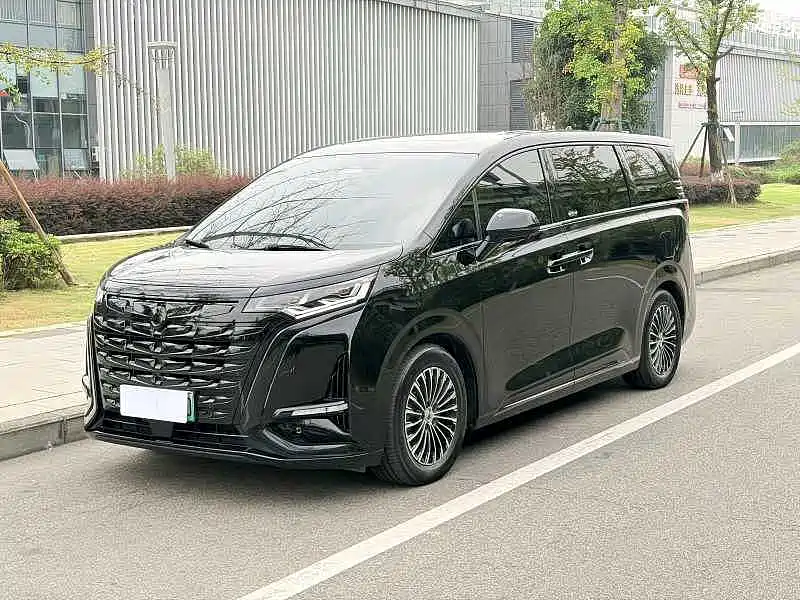  Denza Denza D9 2024 DM-i 1050 Premium