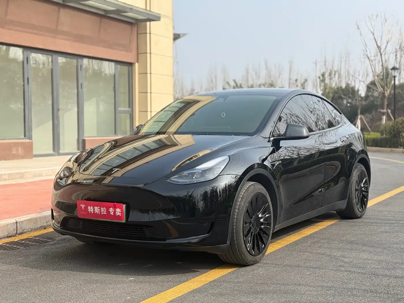 TESLA MODEL Y