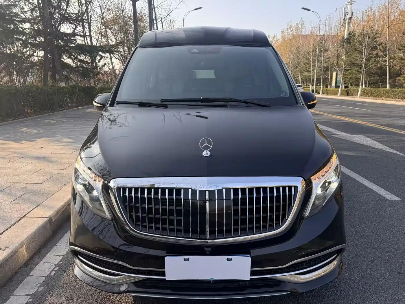 Mercedes-Benz V-Class 2020 Model V 260 L Long Wheelbase Luxury фото 2