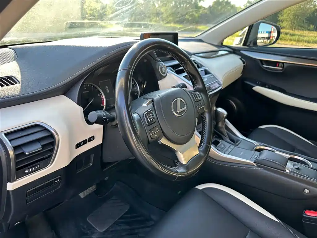 Lexus NX 2020 200 FWD Fengyi Edition China VI фото 14