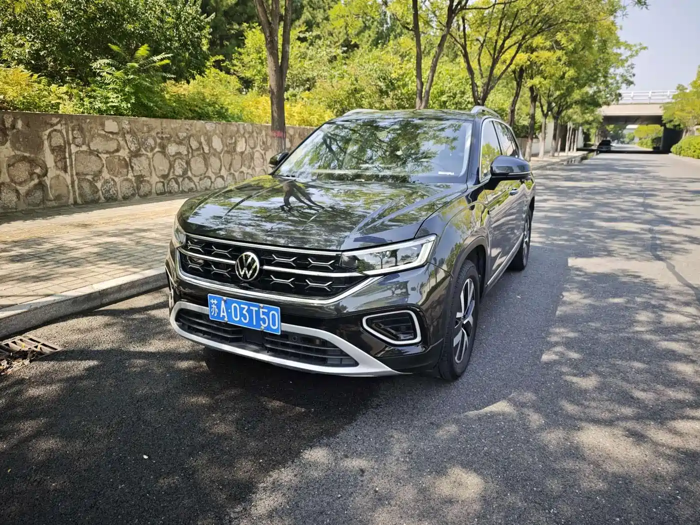 VOLKSWAGEN TANYUE