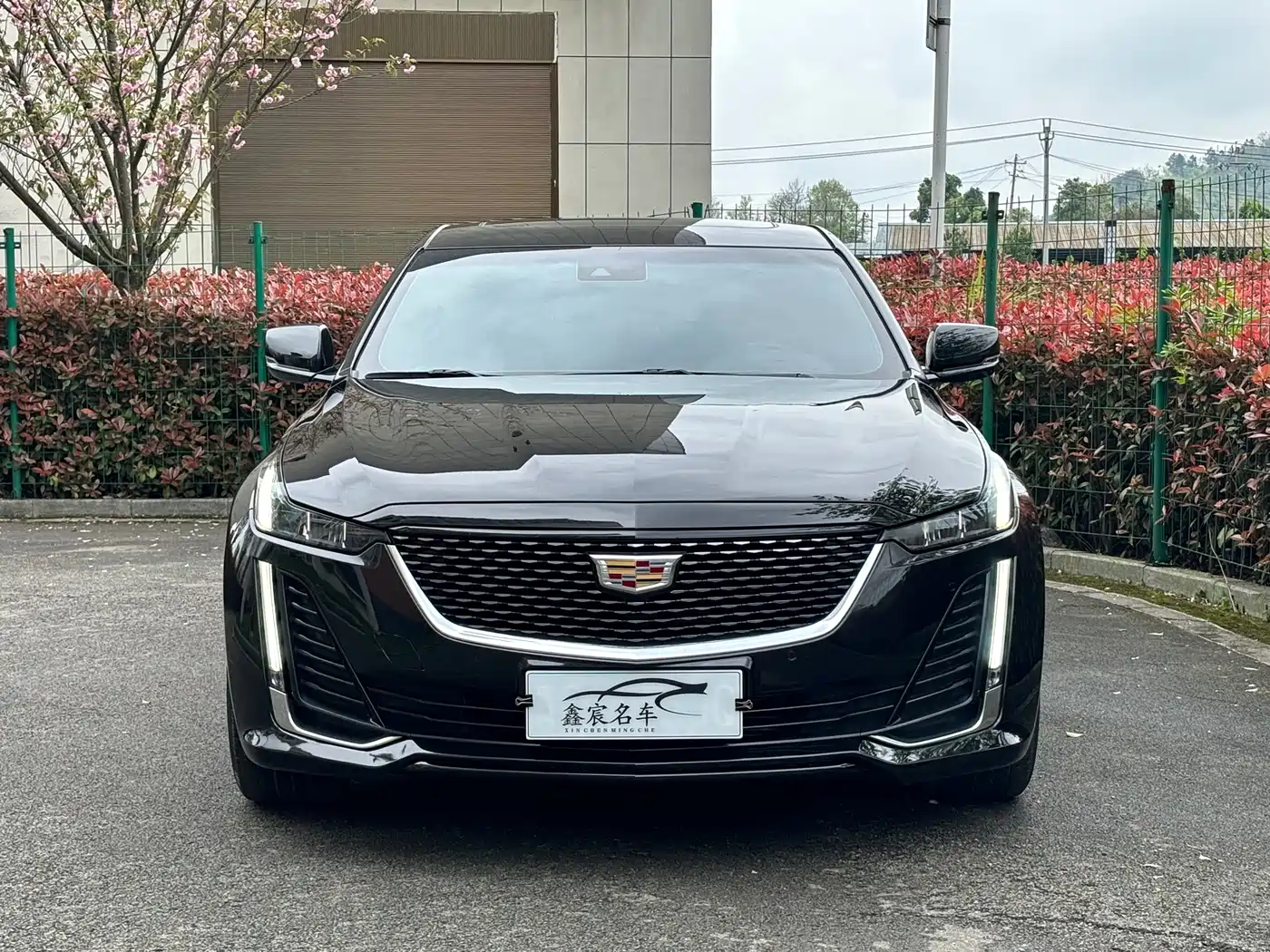 CADILLAC CT5