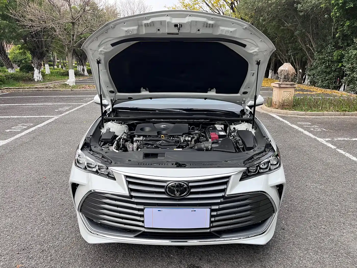 Toyota Avalon 2019 2.0L Luxury Edition (China VI) фото 11