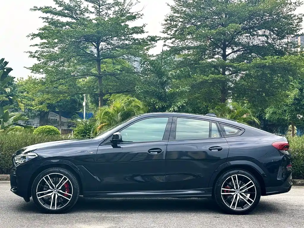 Photo 3 - BMW X6