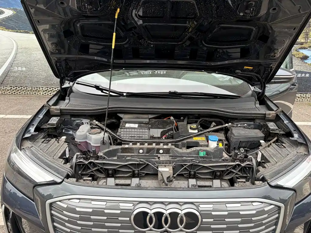 Audi Q4 e-tron 2025 2024 40 e-tron Creation Edition