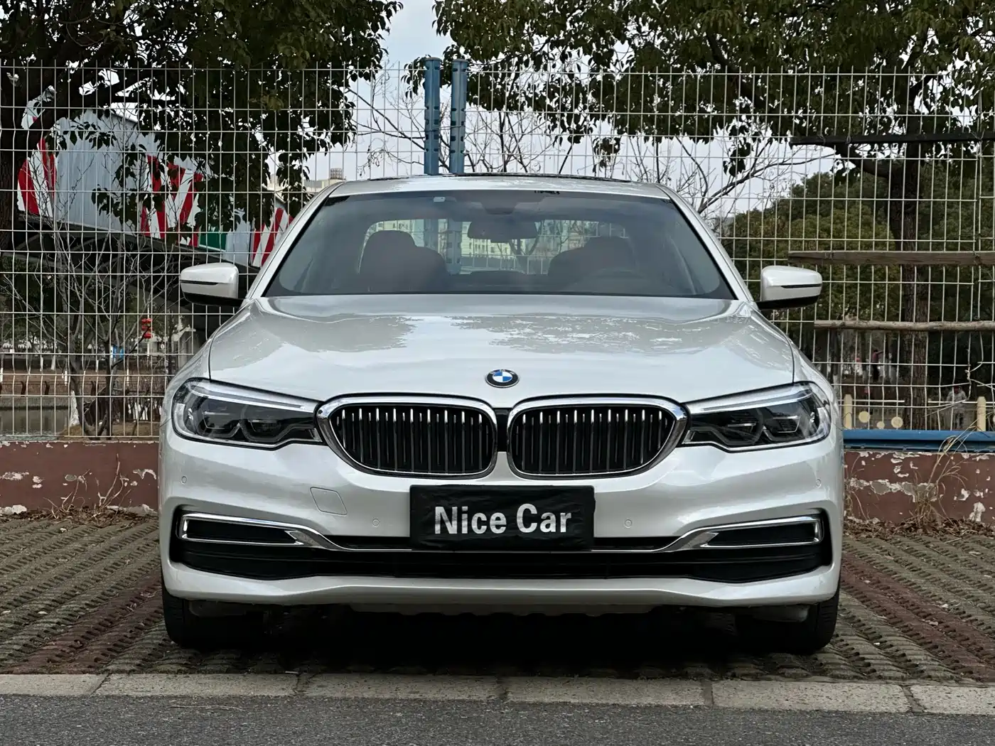 BMW 5 Series 2020 530Li Leading Luxury Package фото 2