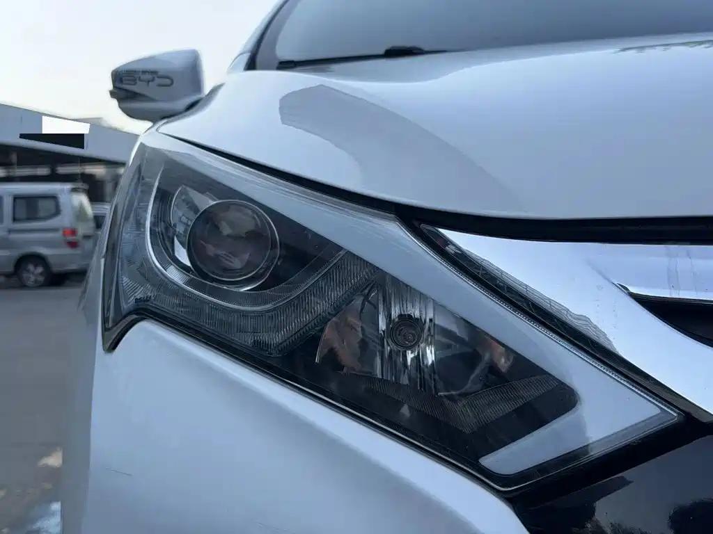 BYD Qin New Energy 2015 2015 1.5T Double Champion Flagship Plus