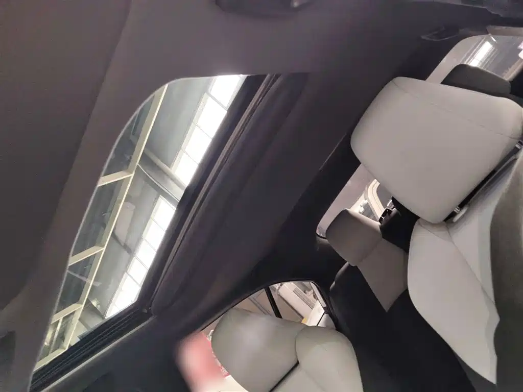 Toyota Levin 2019 185T CVT Luxury Edition China VI фото 14