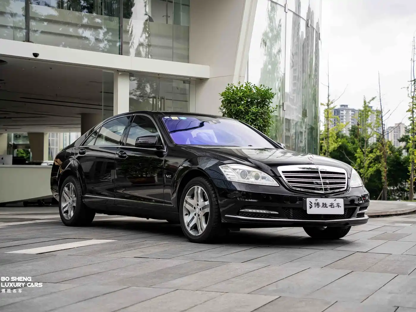 Mercedes-Benz S-Class 2010 S 600 L фото 29