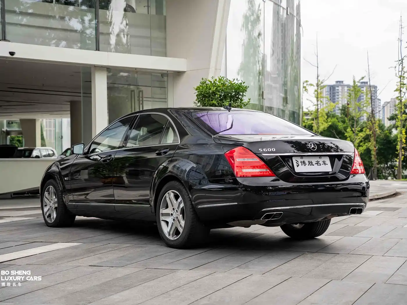 Mercedes-Benz S-Class 2010 S 600 L фото 39