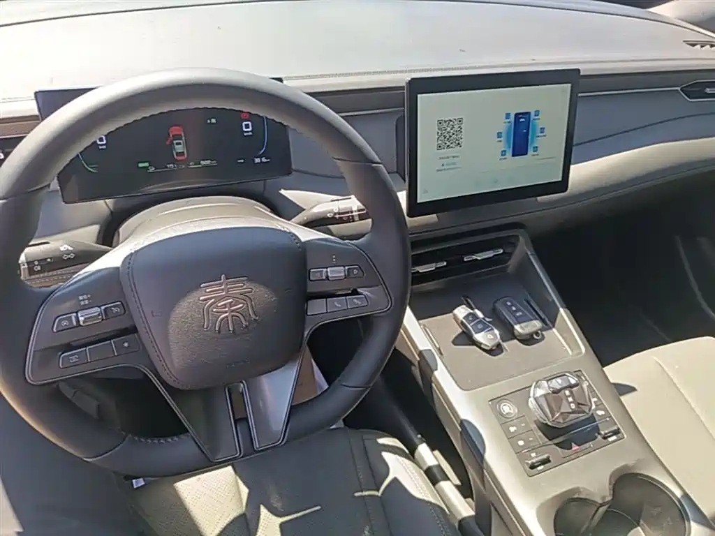 BYD Qin PLUS 2025 DM-i Smart Drive 55KM Leader фото 10