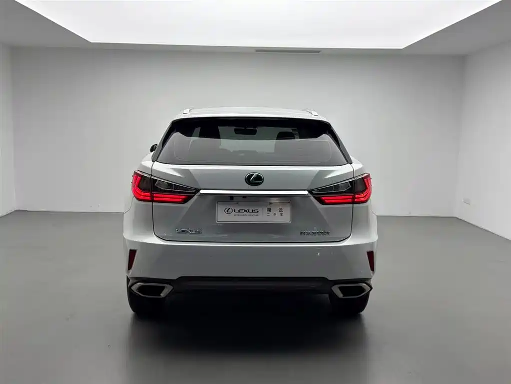 Lexus RX 2016 300 2WD Comfort Edition China V фото 17