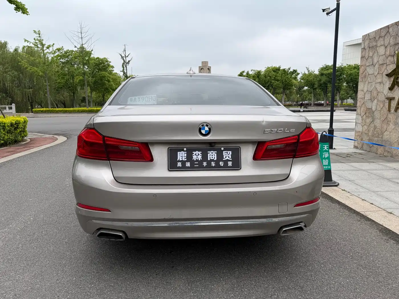 BMW 5 Series New Energy 2019 530Le Luxury Package фото 6