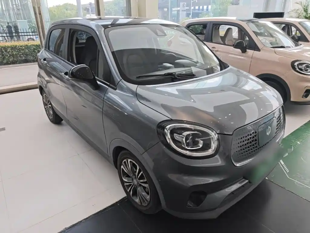 Leapmotor T03 2021 2020 400 Luxury Edition