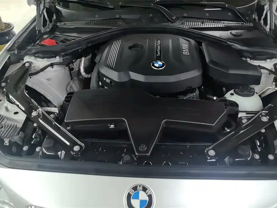 BMW 2 Series (Import) 2015 218i Convertible Coupe фото 10