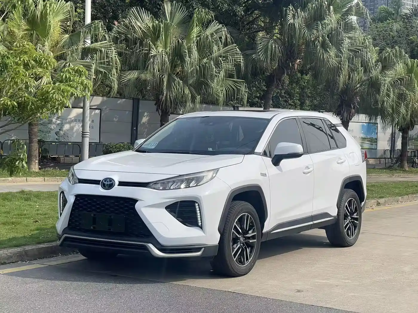 Toyota Wildlander New Energy 2021 High Performance 2.5L 2WD Power Edition