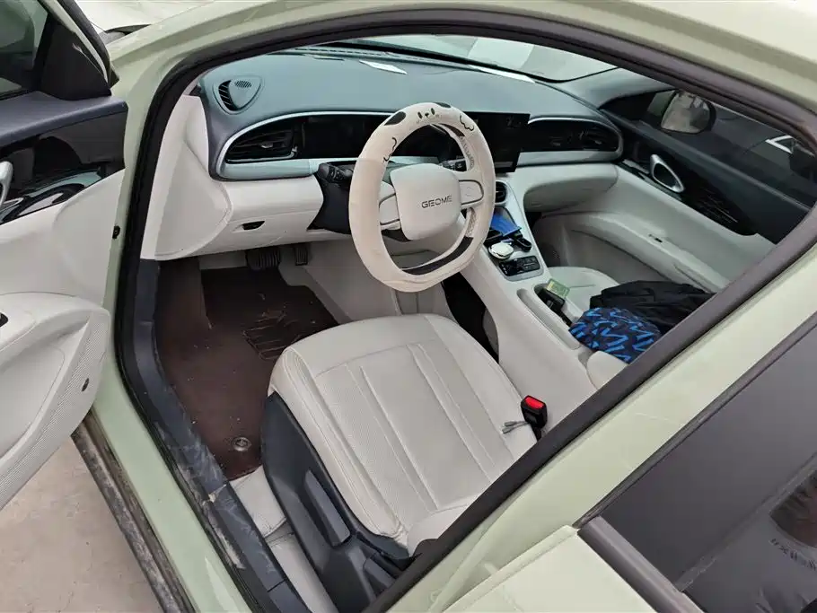 Geely Galaxy Starry Wish 2025 310km Youth Edition фото 9