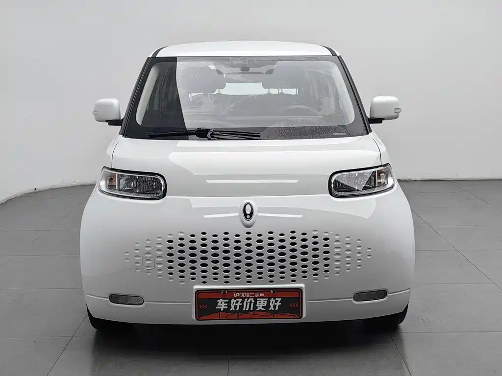 2022 Ora White Cat
