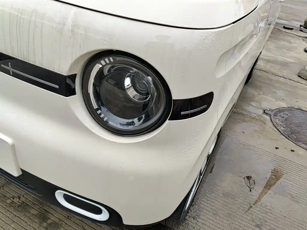 Geely Galaxy Panda 2025 Panda mini 210km Vitality Bear фото 24