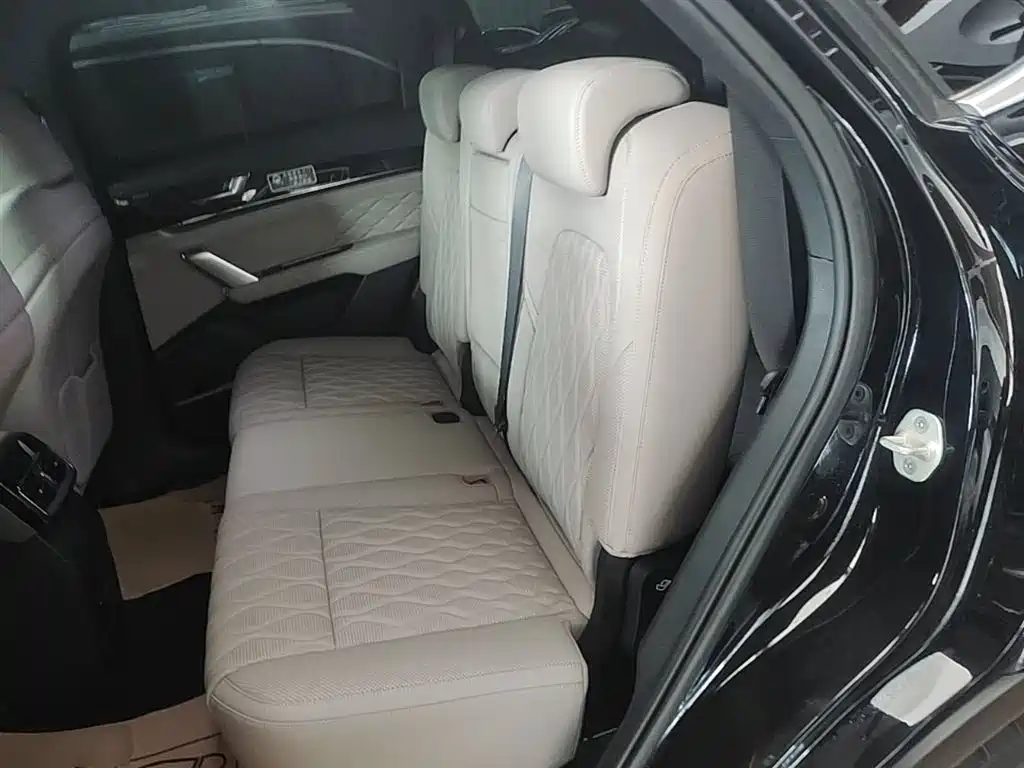 BYD Tang New Energy 2024 DM-i Honor Edition 112KM Premium фото 17