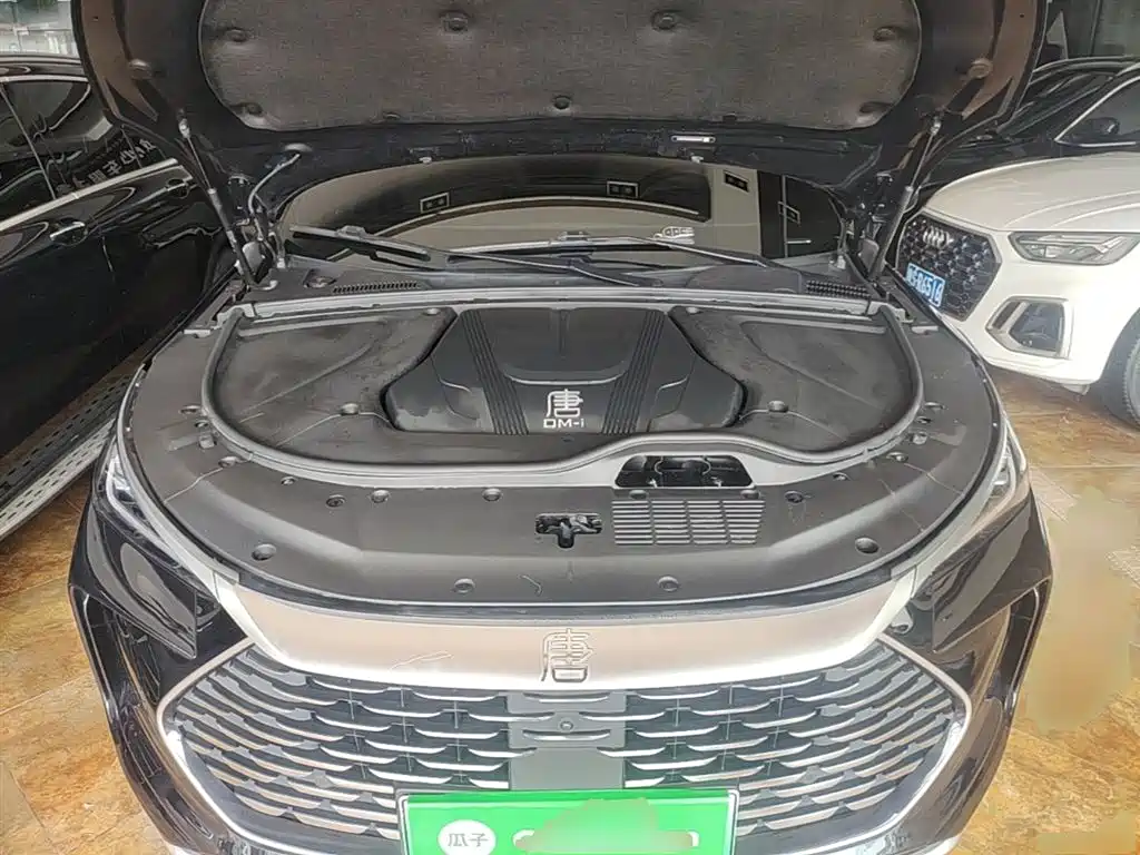 BYD Tang New Energy 2024 DM-i Honor Edition 112KM Premium фото 20