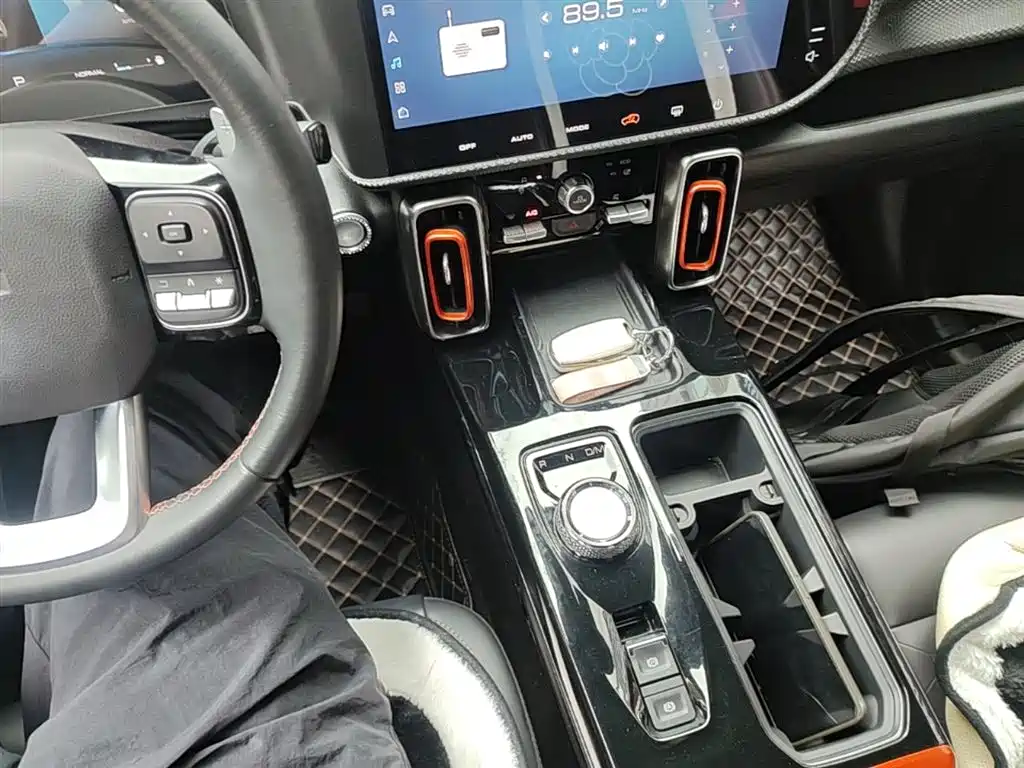 Haval Big Dog 2021 1.5T DCT 2WD Border Collie - Wangcai Edition фото 14
