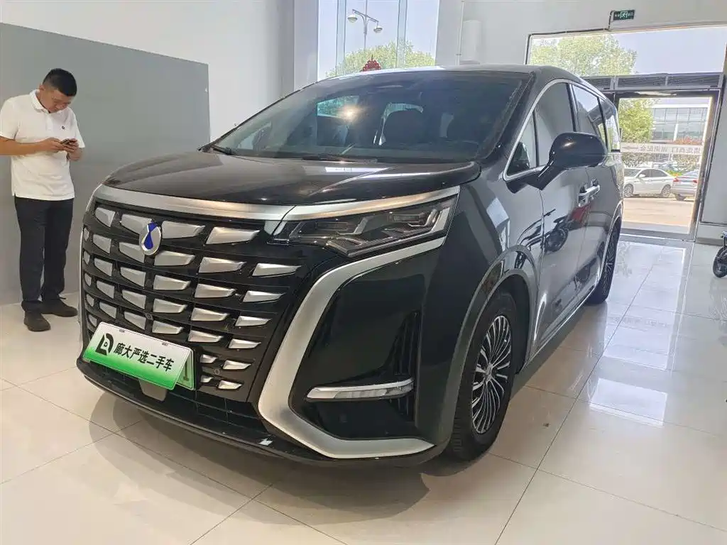 Denza D9 2025 2024 DM-i 980 AWD Premium