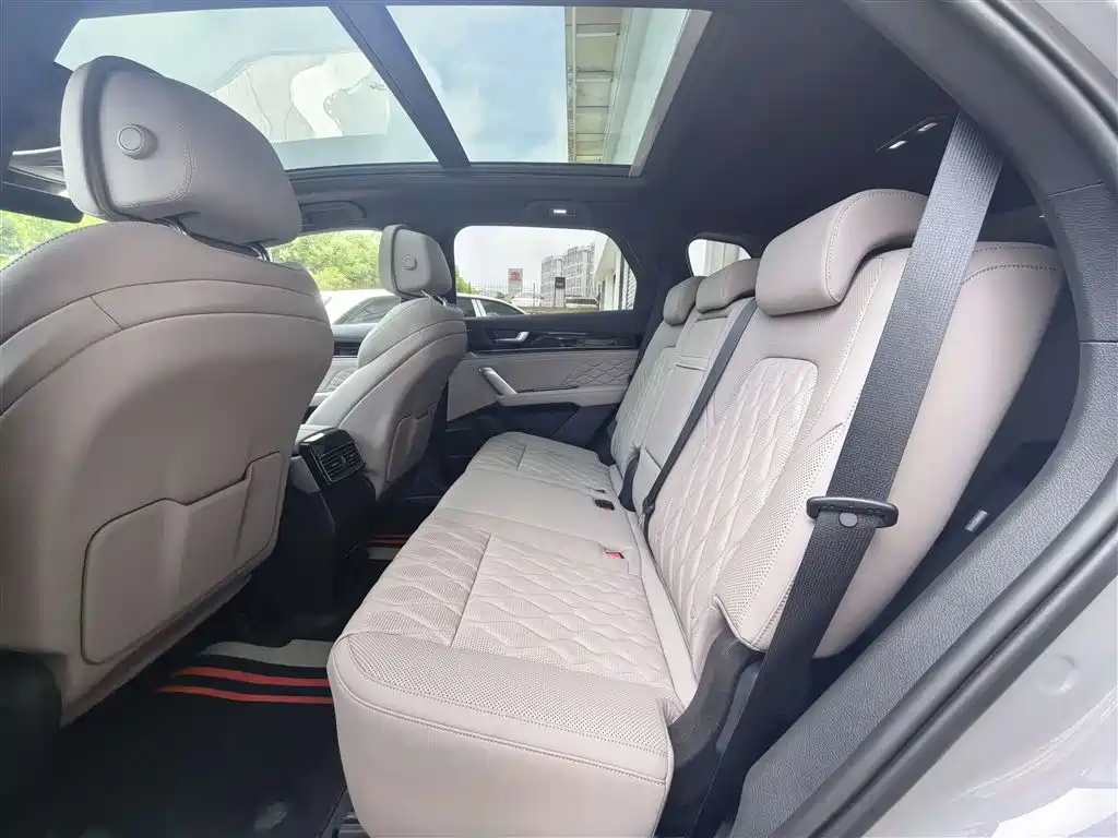 BYD Tang New Energy 2025 DM-i 115KM Flagship фото 6