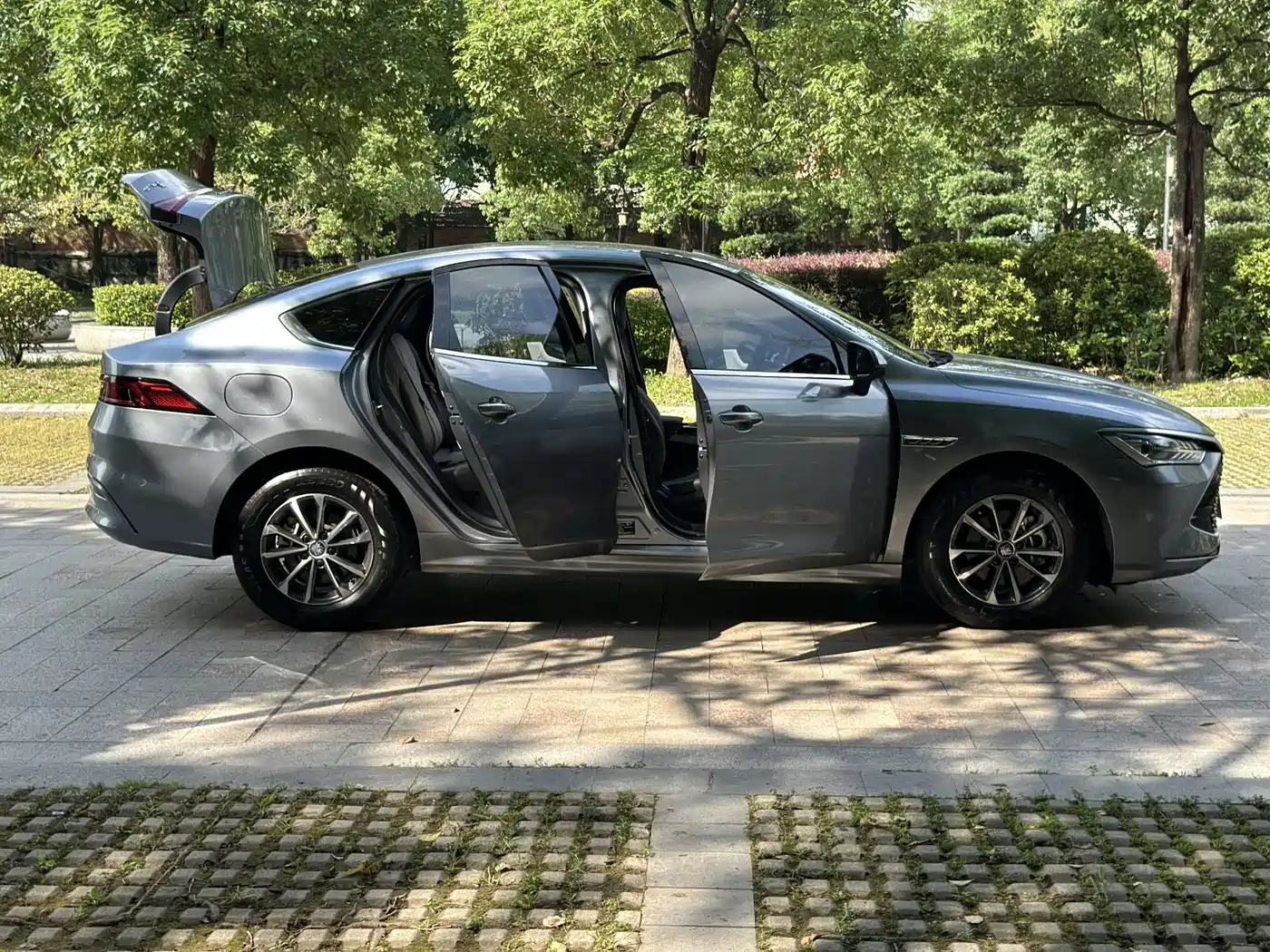 BYD Qin PLUS 2023 Champion Edition DM-i 55KM Leading фото 6