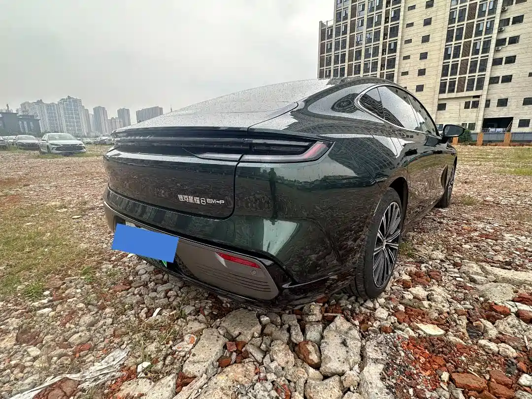 Geely Galaxy Galaxy Xingyao 8 2025 130km EM-i Premium Edition фото 5