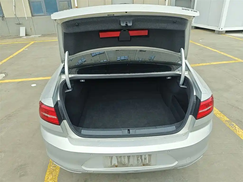 Volkswagen Magotan 2018 330TSI DSG Luxury фото 19