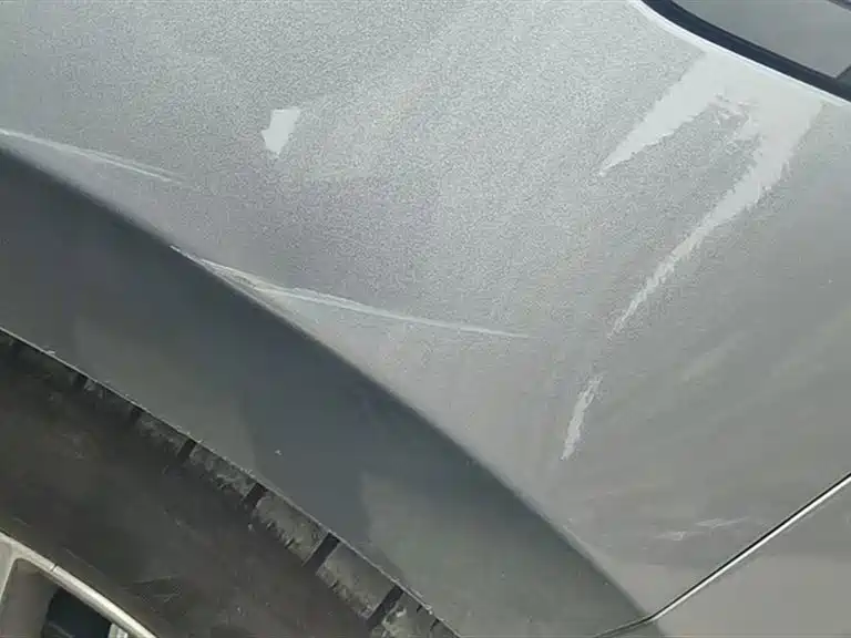 BYD Destroyer 05 2024 Glory Edition DM-i 55KM Luxury фото 10