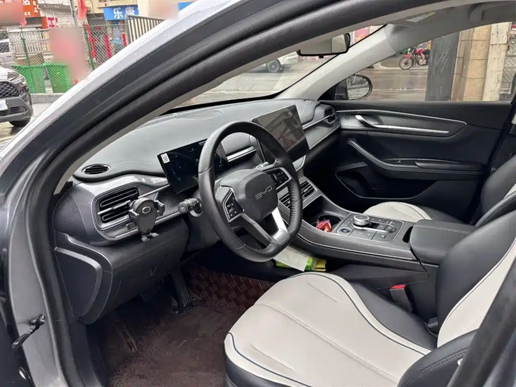 BYD Destroyer 05 2024 Glory Edition DM-i 55KM Luxury фото 13