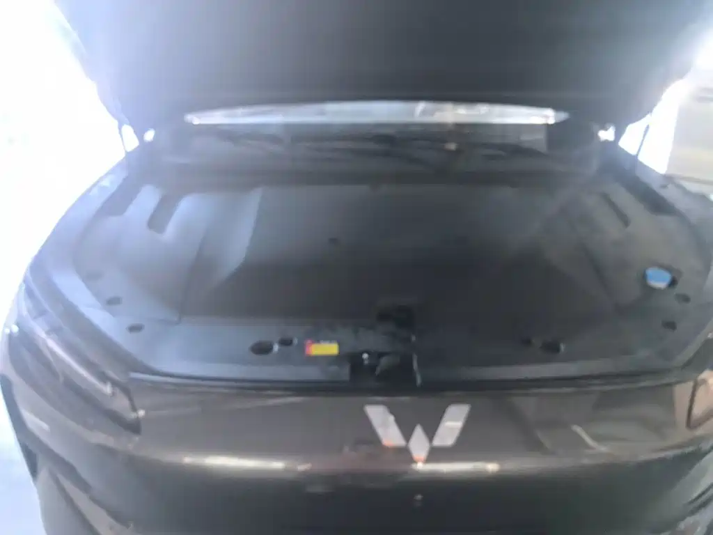 Wuling Motors Wuling Xingguang S 2026 2024 510km Flagship Model