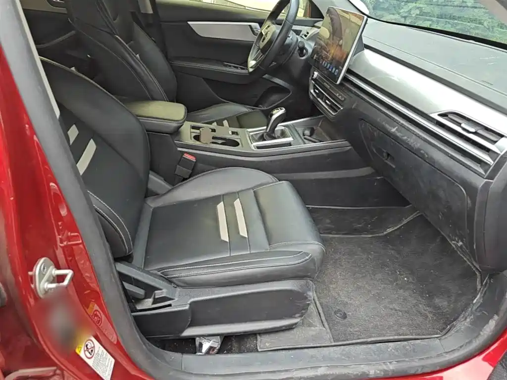 BYD Qin Pro 2019 Super Power Edition 1.5TI Automatic Smart Connection Flagship Type China VI фото 25
