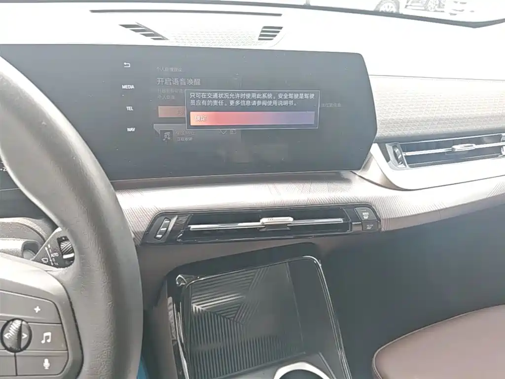 BMW X2 (Import) 2024 sDrive25i M Sport Package фото 20