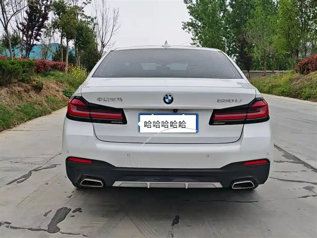BMW 5 Series 2021 530Li Executive Luxury Package фото 8