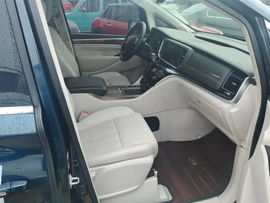 GAC Trumpchi Trumpchi M8 2018 320T Premium Edition фото 8