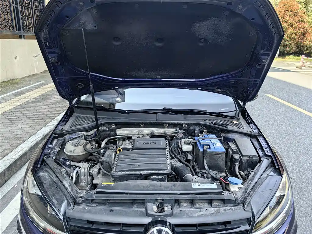 Volkswagen Golf 2018 1.6L Automatic Comfort фото 20