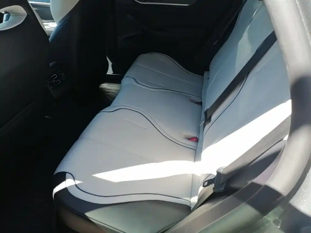 BYD Destroyer 05 2024 Glory Edition DM-i 55KM Luxury фото 17