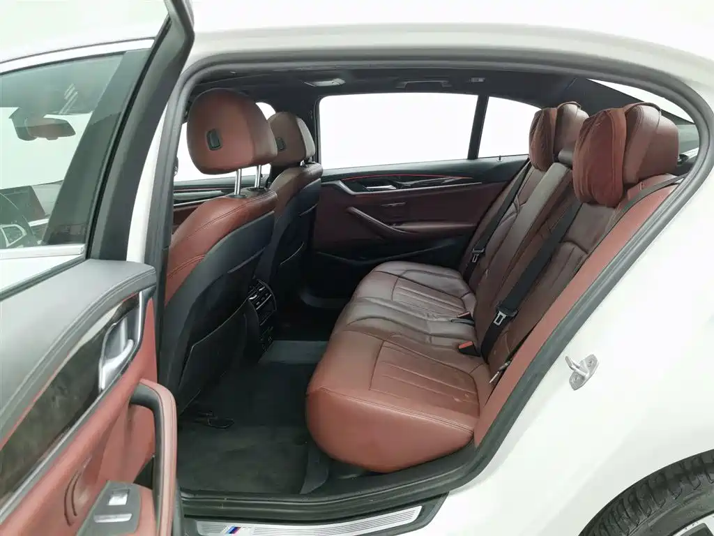 BMW 5 Series 2020 530Li Leading M Sport Package фото 15