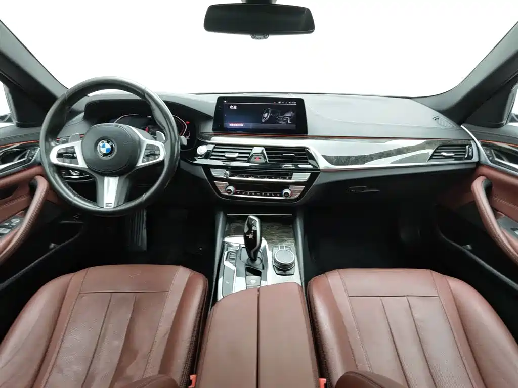 BMW 5 Series 2020 530Li Leading M Sport Package фото 5