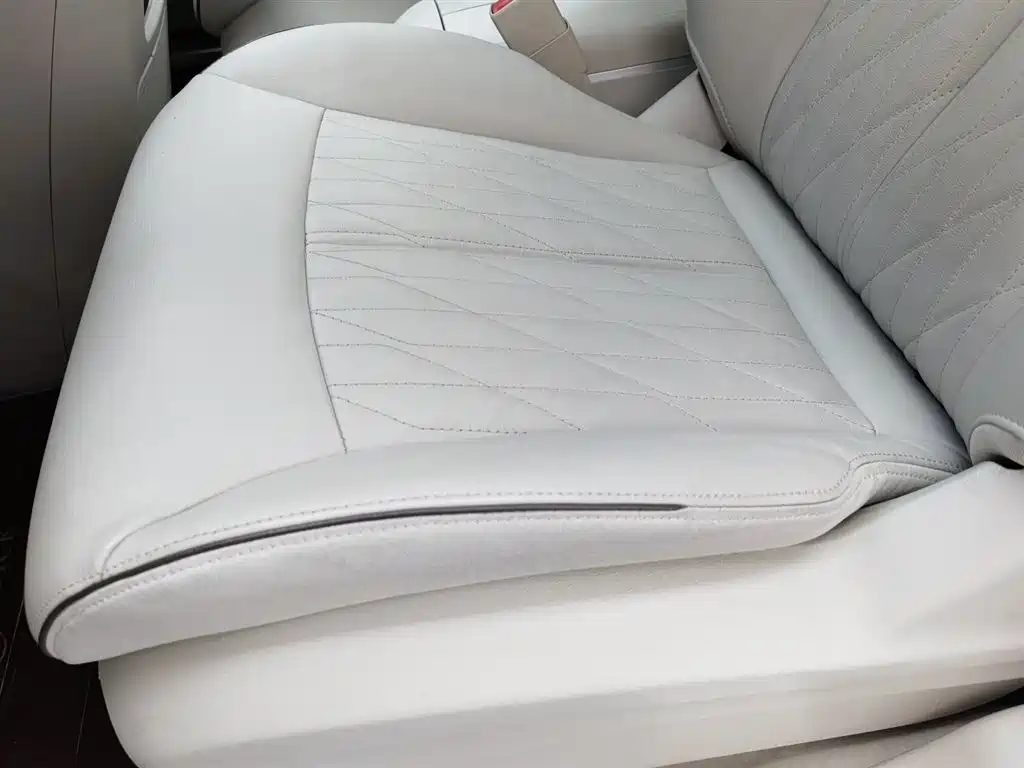 Buick GL8 2021 Land Business Class 652T Luxury фото 20