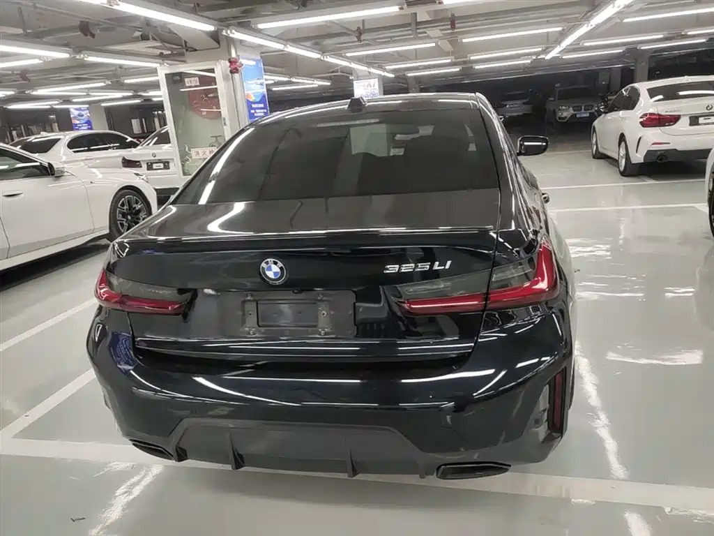BMW 3 Series 2023 325Li M Sport Black Night Package фото 10