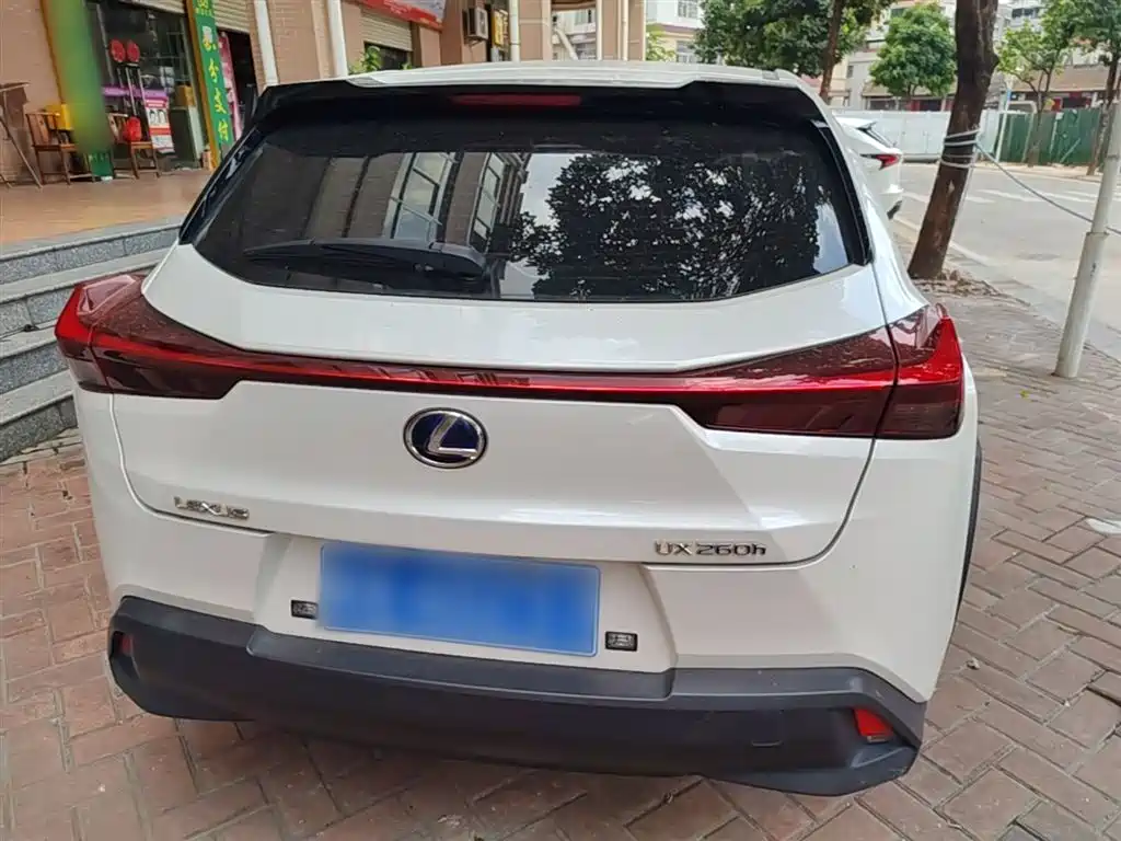 Lexus UX 2019 260h Explorer Cool Edition (China V) фото 6