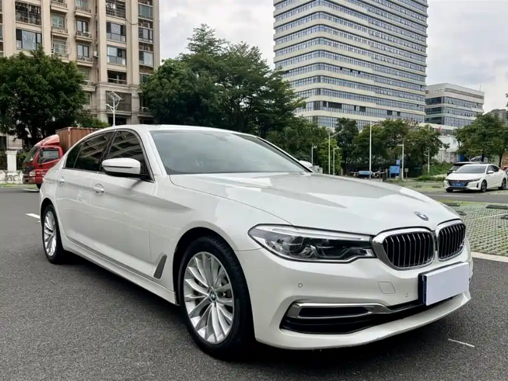 BMW 5 Series 2020 530Li Leading Luxury Package фото 3