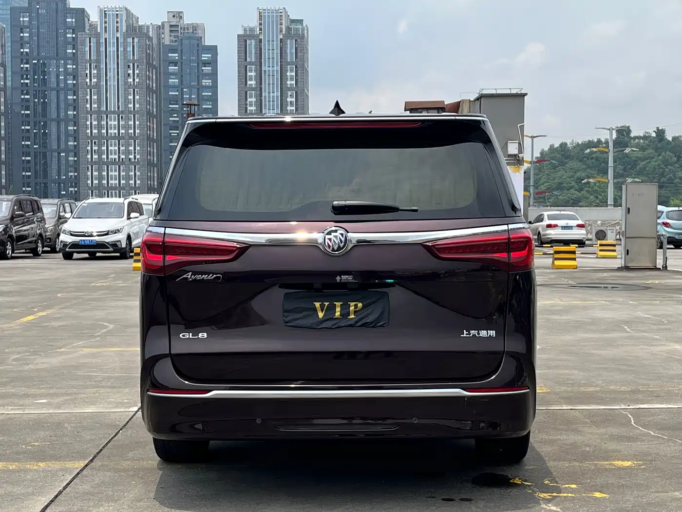 Buick GL8 2020 Avenir Six-Seat Elegance Edition фото 13